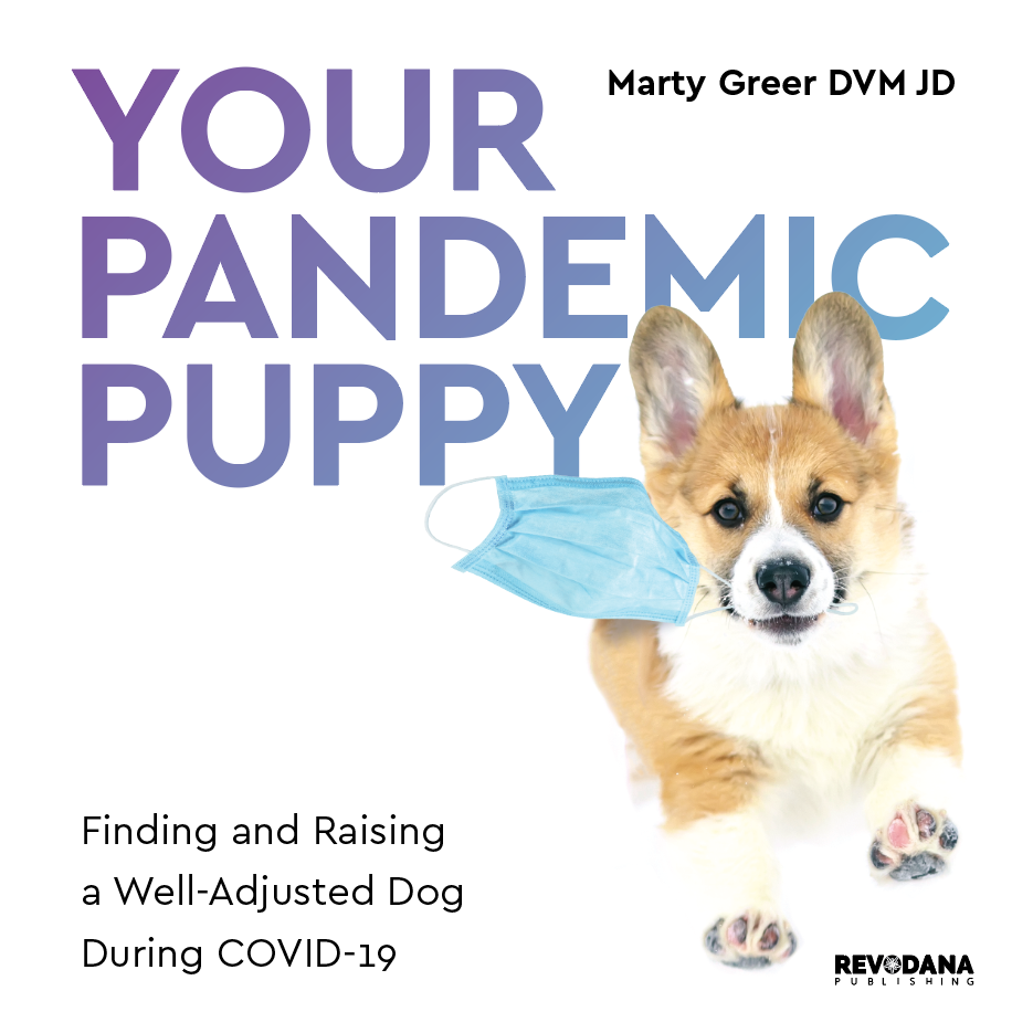 https://revodanapublishing.com/wp-content/uploads/2020/10/Your-Pandemic-Puppy.png