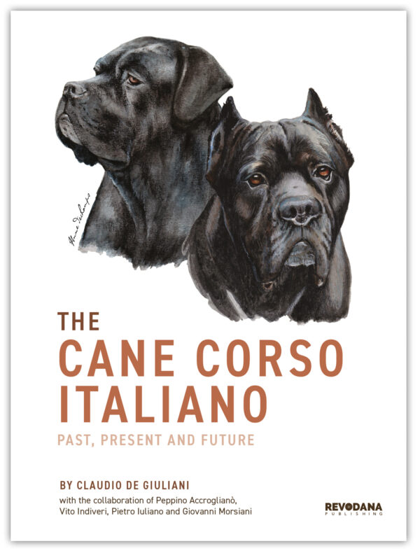 The Cane Corso Italiano: Past, Present and Future